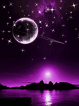 pic for purple night